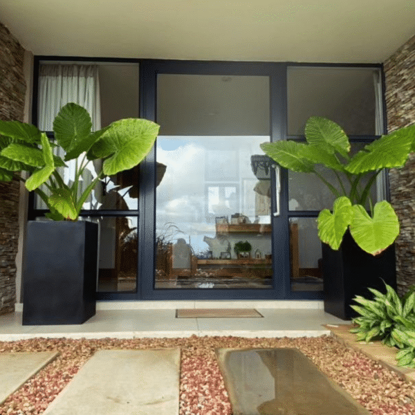 New York Fibreglass Planter – Lightweight & Weatherproof for Indoor & Patio Plants - Image 2