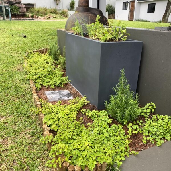 Boston Fibreglass Planter - Durable Indoor & Patio Plant Pot - Image 5