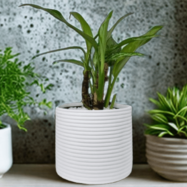 Emma 15cm Resin Planter – Stylish & Durable for Indoor Plants - Image 2