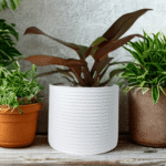 Emma 15cm Resin Planter – Stylish & Durable for Indoor Plants
