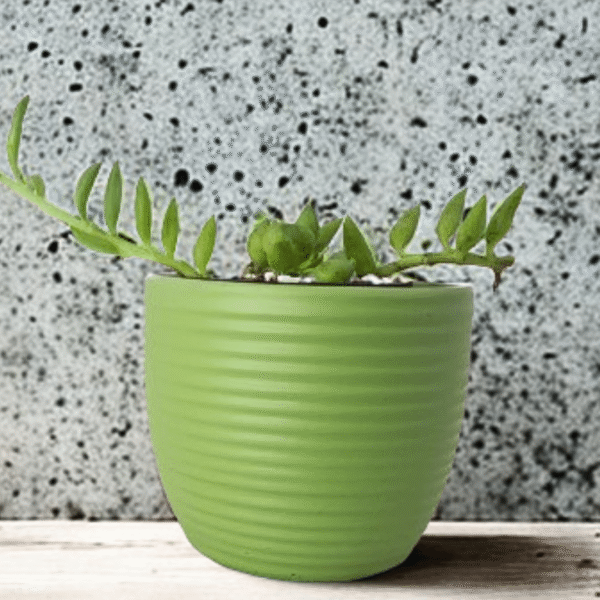 Evie Resin Planter – Lightweight & UV-Resistant - Stylish & Durable for Indoor Plants - Image 2