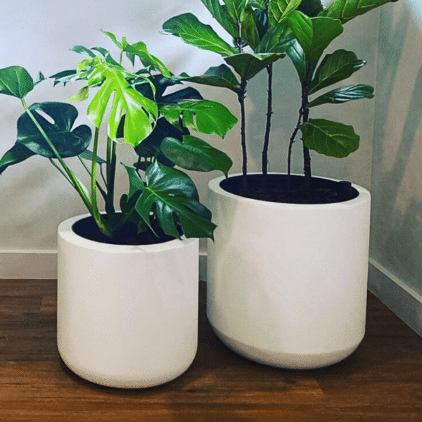 Victoria Fibreglass Planter – Stylish & Durable Indoor & Patio Planter with Built - In Watering System - Image 3