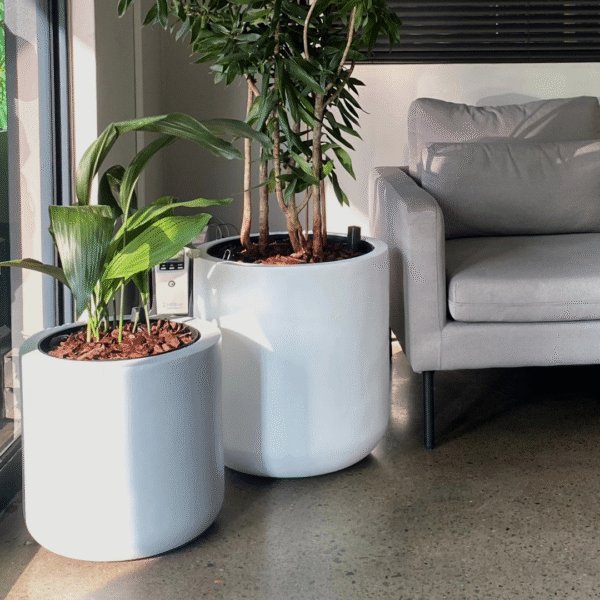 Victoria Fibreglass Planter – Stylish & Durable Indoor & Patio Planter with Built - In Watering System - Image 2