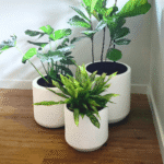 Victoria Fibreglass Planter