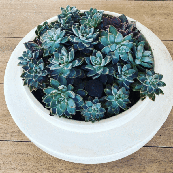 Barcelona Ceramic Planter – Stylish 34cm Modern Ceramic Pot for Indoor Plants - Image 2
