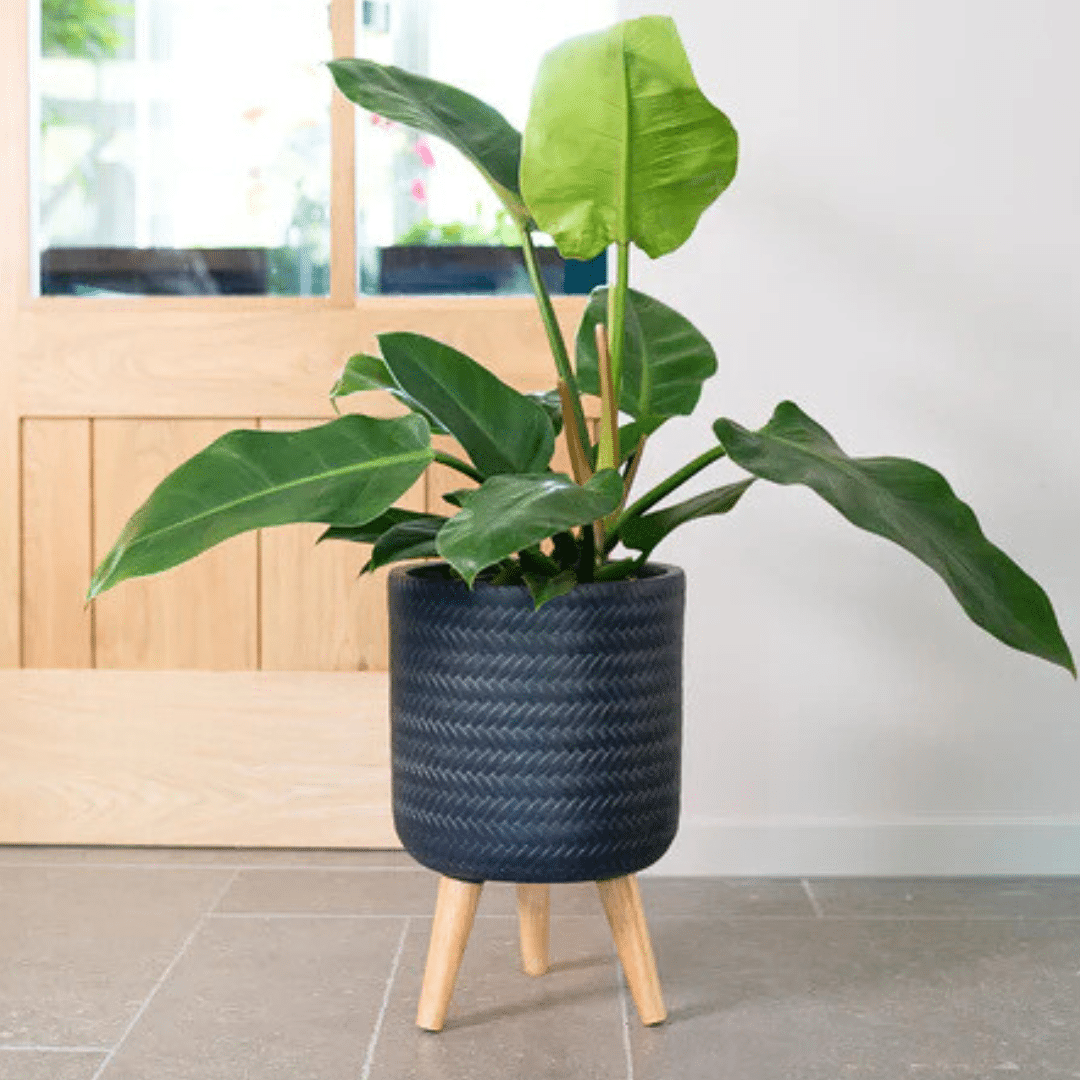 Fenne woven planter Fenne Pot on Legs in dry green and black, handcrafted from sustainable woven materials for indoor use