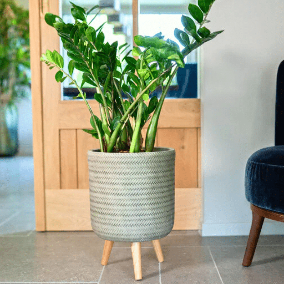 Fenne woven planter mint Fenne woven planter on legs in dry green and black, handcrafted from sustainable materials for indoor use