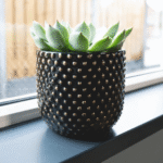 Bolino Ceramic Planter Handcrafted shiny black ceramic planter with gold accent spheres, styled with a green indoor plant on a modern wooden shelf.