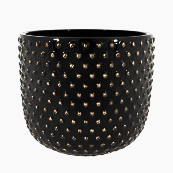 Handcrafted shiny black ceramic planter with gold accent spheres.