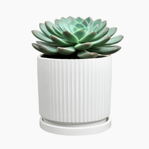 Modern mint green and white Siebe ceramic pot and saucer, glazed finish, for indoor plants
