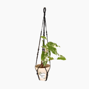 1m black macramé plant hanger with handcrafted cotton cord.