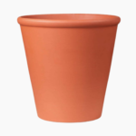Raw terracotta pot rose with drainage hole, classic clay design.