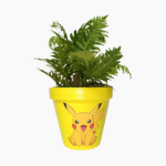 PokePot hand-painted terracotta planter inspired by Pokémon characters.