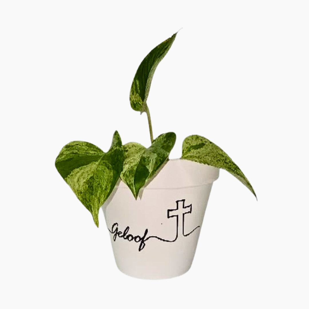 Geloof, Hoop, Liefde 12cm hand-painted terracotta pots Geloof Hoop Liefde,