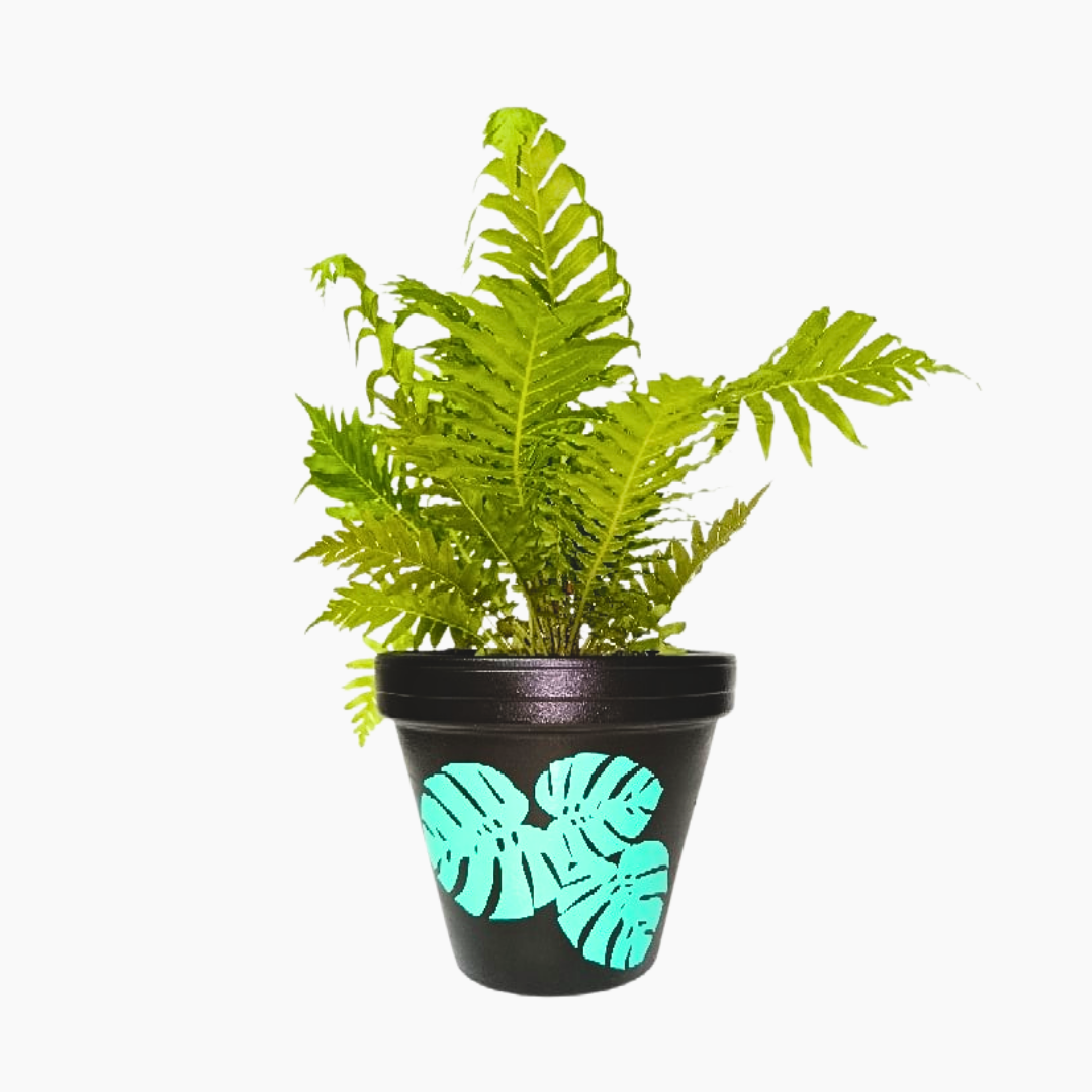 Monstera Leaves Hand-Painted Terracotta Pot Monstera Leaves Hand-Painted Terracotta Pot