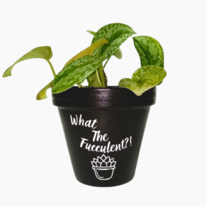 WTF Hand Painted Terracotta Pot