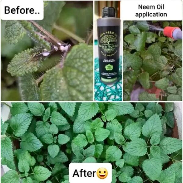 Neem Naturals combo pack with neem pellets, neem cake powder, and neem oil concentrate for gardening.