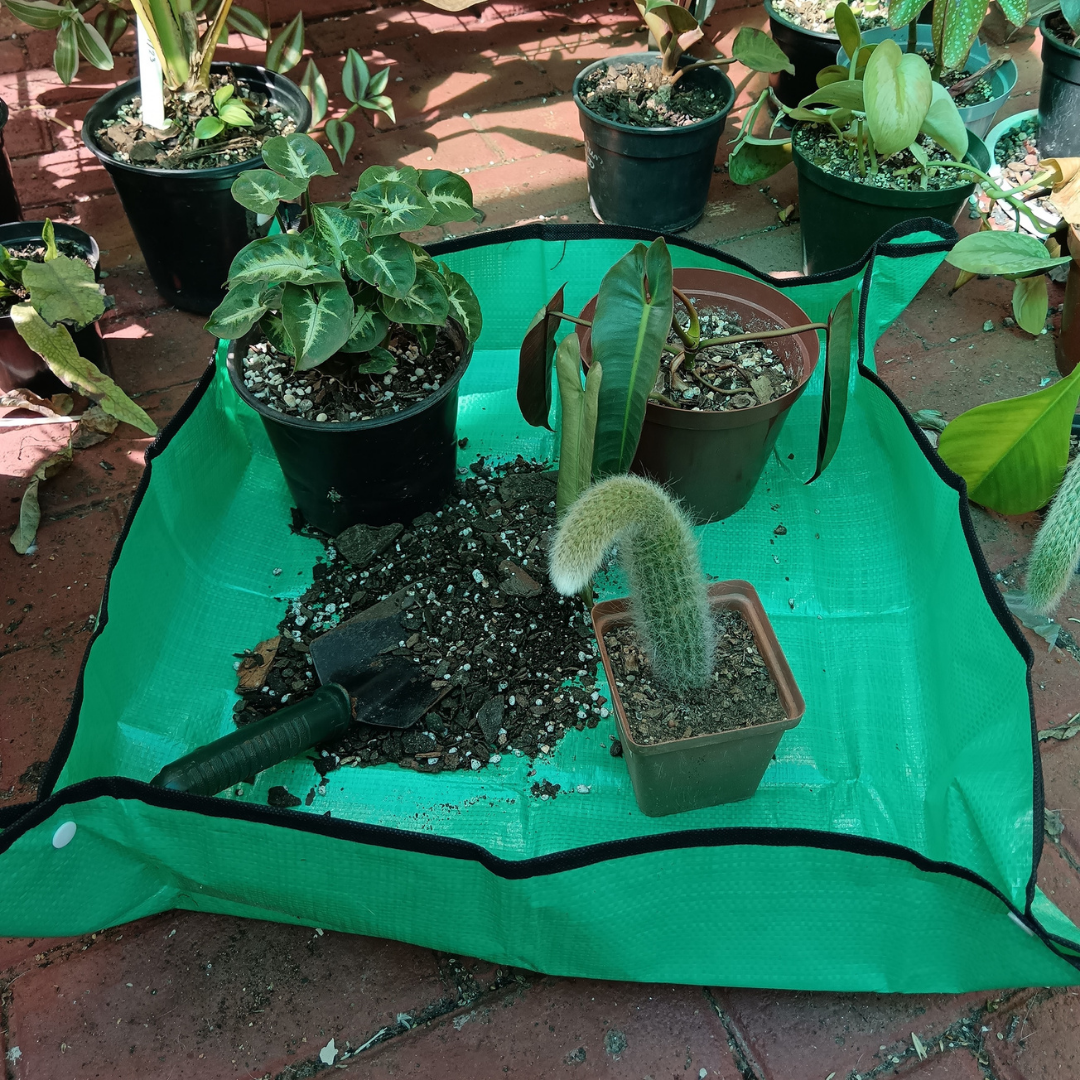 Repotting Mat Repotting mat made from waterproof plastic, ideal for indoor gardening, 66 × 66 cm.