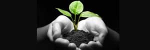 Neem Naturals