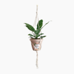 1.2m Macramé Plant Hanger in black or white with plain knot design.