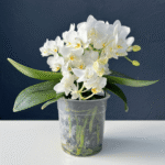 Phalaenopsis Jungle orchid with patterned blooms and lush green foliage.