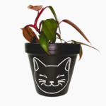 Friendly Cat hand painted terracotta pot, available in 15cm and 18cm sizes.
