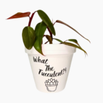 WTF Hand Painted Terracotta Pot