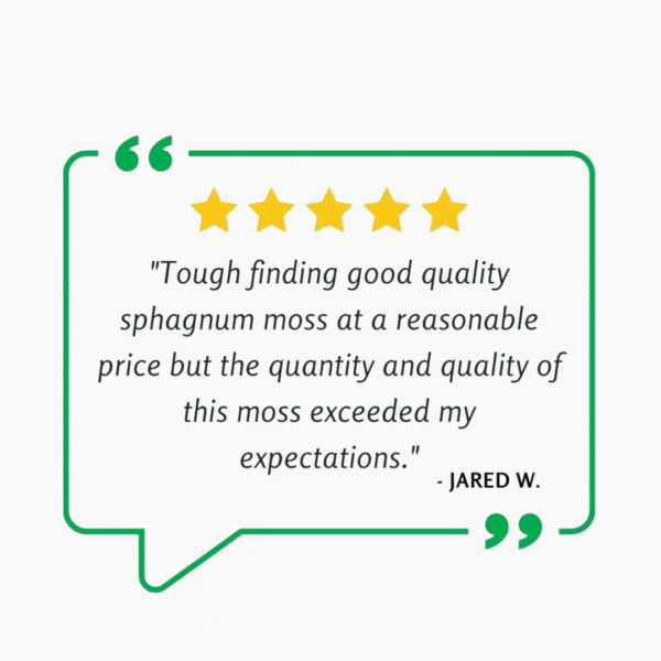 Rehydrated sphagnum moss, light brown and fluffy, ideal for plant growth