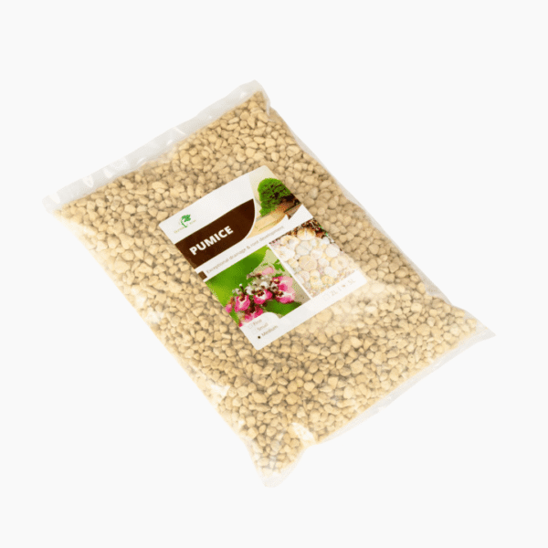 Japanese Hyuga Pumice medium 5–8mm particles in natural off-white tones