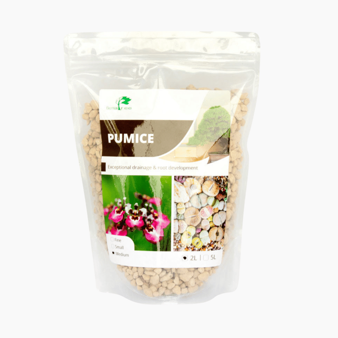 pumice-medium-2L Japanese Hyuga Pumice medium 5–8mm particles in natural off-white tones
