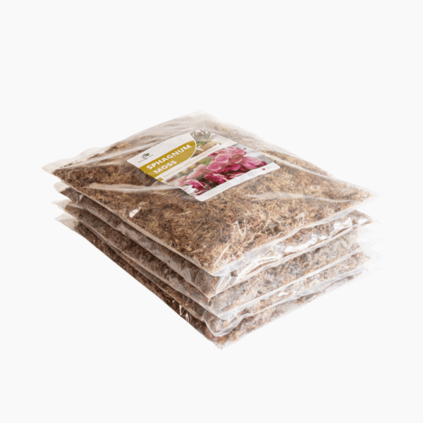 Rehydrated sphagnum moss, light brown and fluffy, ideal for plant growth