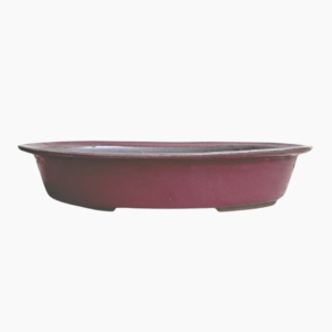 Medium Oval Bonsai Pot glazed handcrafted from durable stoneware.