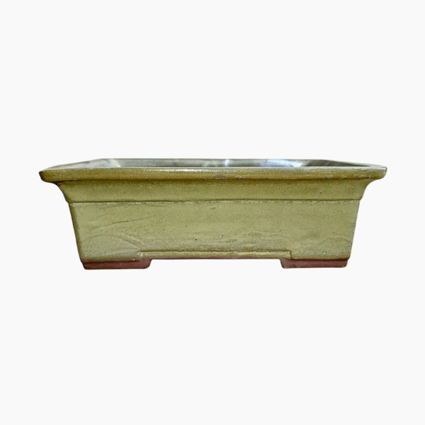 Medium rectangular glazed bonsai pot handcrafted from stoneware in South Africa.