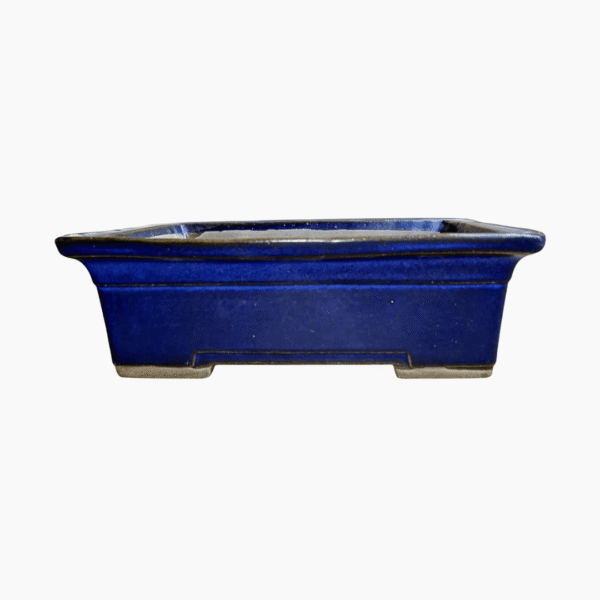 Medium rectangular glazed bonsai pot handcrafted from stoneware in South Africa.
