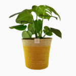Large Rope Planter in mustard, ivory, and jute, 23cm × 20cm.