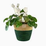 Small Rope Planter in green and jute, 16cm × 13cm.