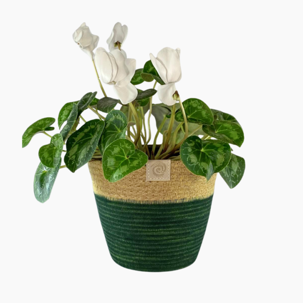 Small Rope Planter in green and jute, 16cm × 13cm.