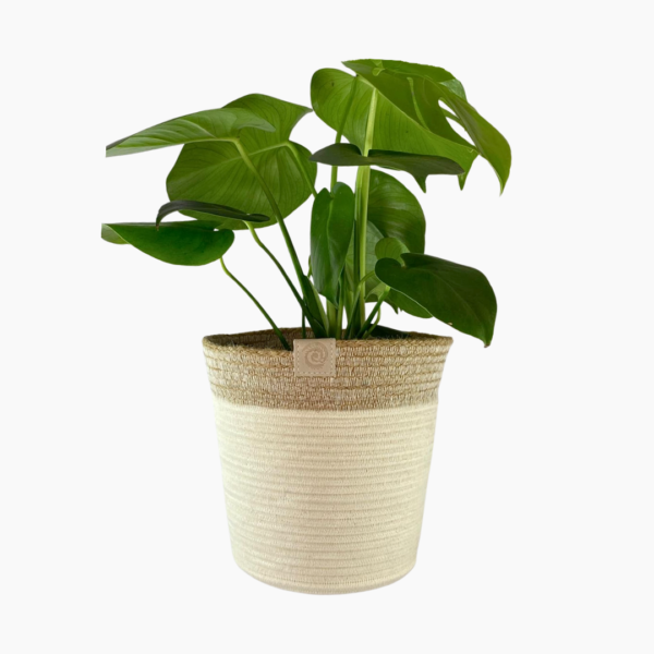 Large Rope Planter in ivory and jute, 23cm × 20cm.