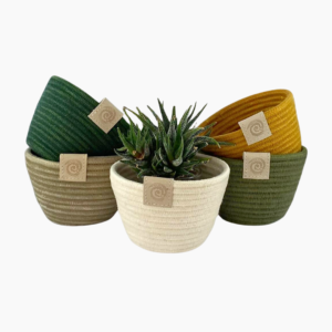 Handmade Rope Planter for Succulents in green, mustard, ivory, or stone, made from cotton rope