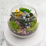 Succulent terrarium in a round glass bowl with moss, pebbles, and a “Best Teacher” sign — ideal mini garden gift.