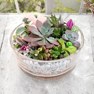 Mixed succulent arrangement in a round glass bowl with colourful plants, pebbles, and decorative accents — perfect indoor mini garden gift.