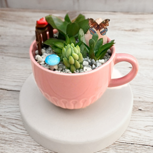 Succulent arrangement in a pink ceramic mug with pebbles, butterfly decoration, and blue mushroom accent — mini indoor garden.