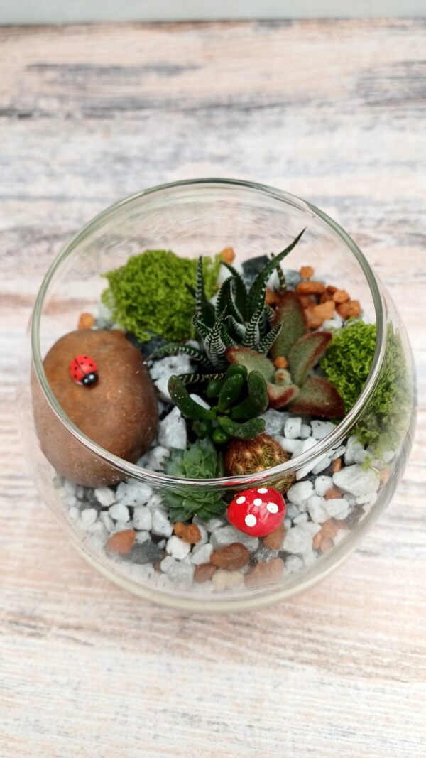 Miniature Glass Terrarium with Succulents – Mini Garden Arrangement | Decorative Glass Terrarium - Image 2