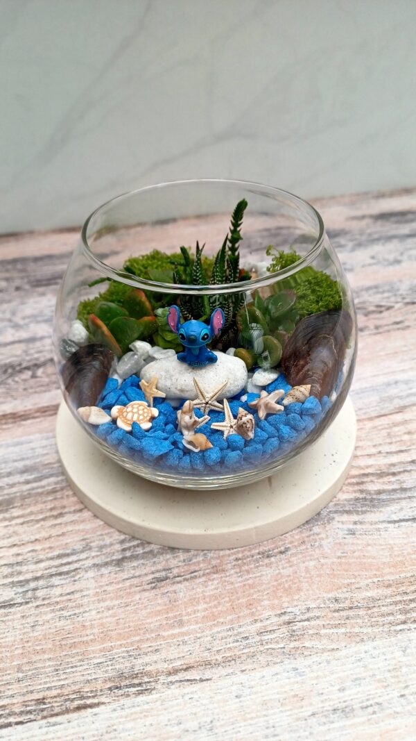 Beach Terrarium with Succulents – Ocean-Themed Mini Garden Arrangement | Decorative Glass Terrarium - Image 2