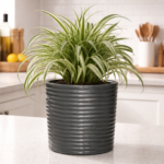 Helsinki Premium Lightweight Concrete Indoor Pot – Modern Lytroc Planter for Luxury Home & Office Décor
