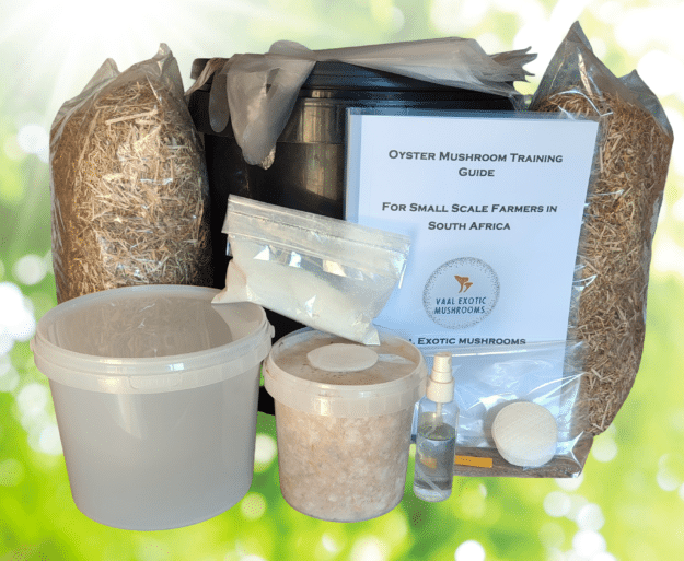 Oyster Mushroom Growing Starter Kit & Training Guide | Small-Scale Farming in South Africa