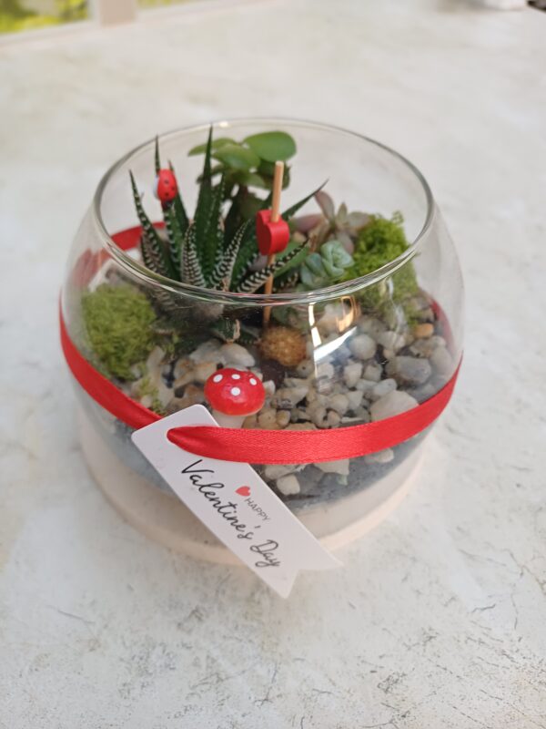 Sweetheart Succulent Globe | Long-Lasting Potted Succulent Gift | Decorative Indoor Plant - Image 2