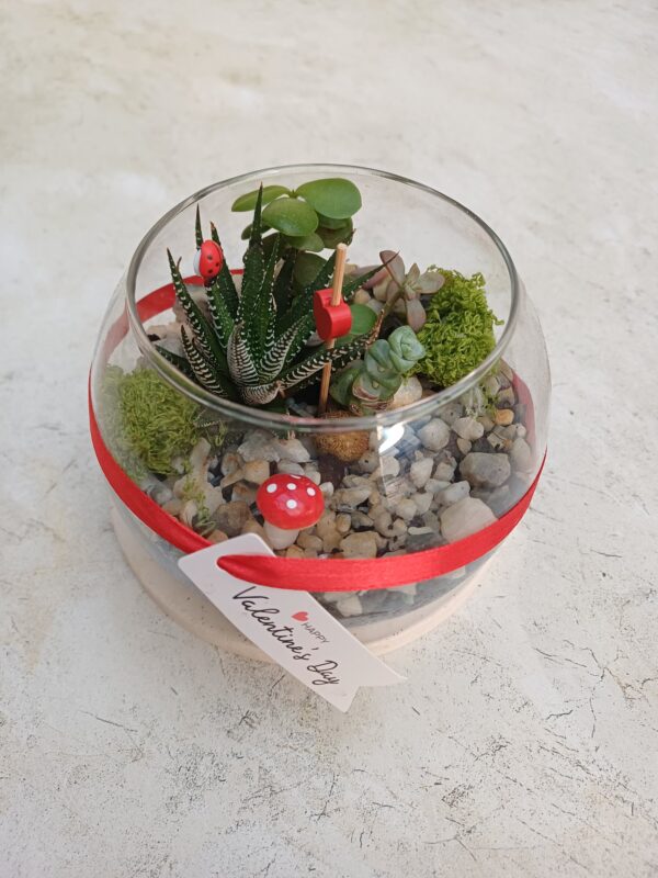 Sweetheart Succulent Globe | Long-Lasting Potted Succulent Gift | Decorative Indoor Plant - Image 3