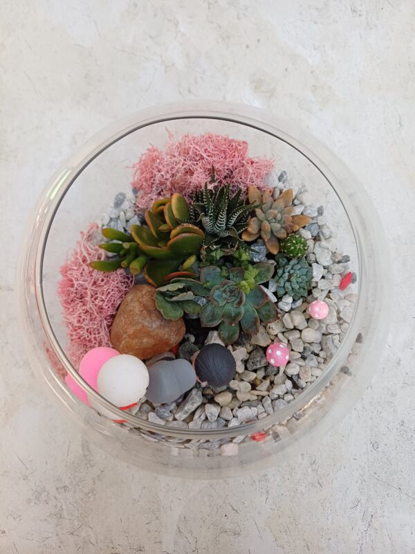 Our Little World - Succulent Terrarium Bowl / Mini Garden/ I Love You Figurine - Image 5