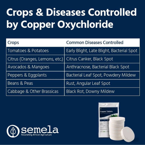 Semela Copper – Water-Soluble Fungal disease Prevention - Image 3
